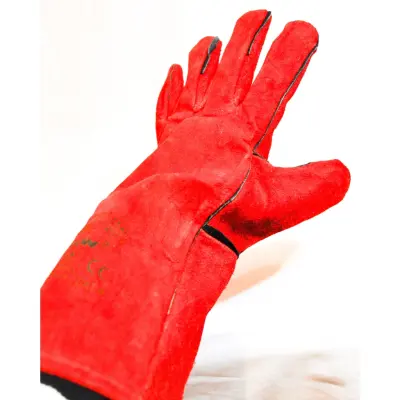 Manusi Sudor Rene